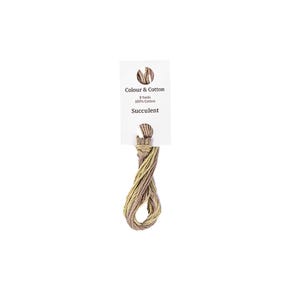 Succulent 6 Strand Hand-Dyed Embroidery Floss | Colour & Cotton #CAC-316