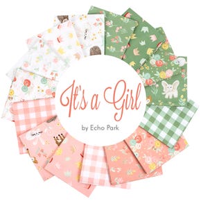 It's a Girl Fat Quarter Bundle | Echo Park for Riley Blake Designs