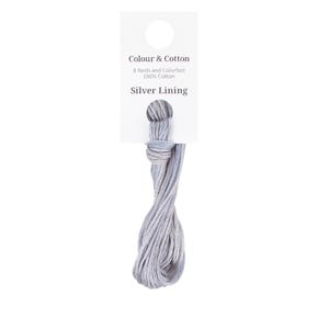 Silver Lining Hand Dyed Thread | Colour & Cotton #CAC-306