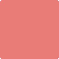 Bella Solids Blush Yardage 