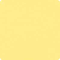 Bella Solids Sunshine Yardage 