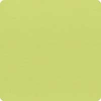 Bella Solids Pistachio Yardage 