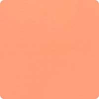 Bella Solids Coral Yardage 