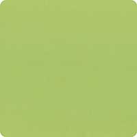 Bella Solids Fresh Grass Yardage 