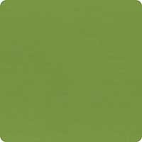 Bella Solids Evergreen Yardage 