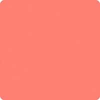 Bella Solids Flamingo Yardage  