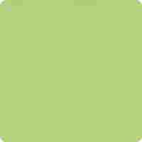 Bella Solids Cucumber Yardage  